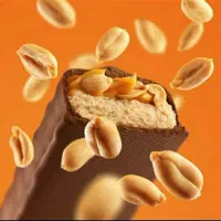 کارگر ساده شرکت شکلات خانم وآقا حراست راننده غذا