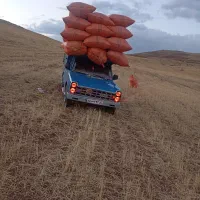 بار برگشتی از مریوان به سنندج یا دیواندره