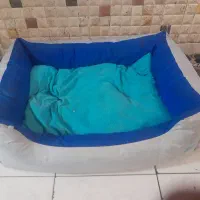 جای خواب سگ وگربه