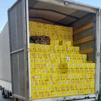 فروش عمده کروسان شیبابا