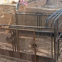 باربند وانت پیکان|قطعات یدکی و لوازم جانبی|رودشت (چهارمحال و بختیاری), |دیوار