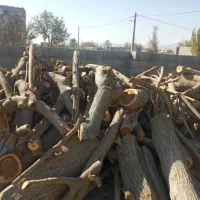 خرید انواع چوب