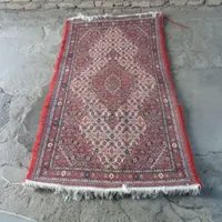 فرش ماهی ۵۰ رج