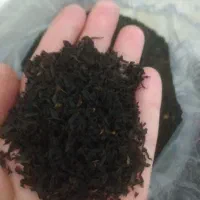 چای بهاره املش خوش عطرچین اول فقط 5 کیلوق 370|خوردنی و آشامیدنی|رشت, حمیدیان|دیوار