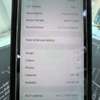 12 pro zaaبازنشده|موبایل|کرج, گوهردشت|دیوار