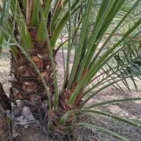 حاجی آباد|موبایل|حاجی آباد, |دیوار