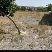 فروش زمین 360متری  شهرک پرستو جاده ویرانی