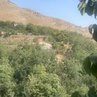 باغ در روستای وردیج منطقه ۲۲، چیتگر ،دریاچه