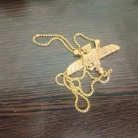 دو عدد گردنبند مردانه