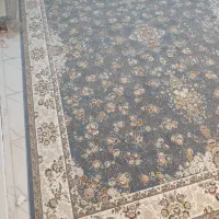 یک جفت فرش ۱۲۰۰ شانه