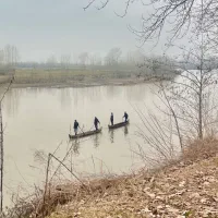 440 متری/چندقدمی سفیدرود/ویلا نشین/لشت نشا/لیچاه|فروش زمین و ملک کلنگی|رشت, منظریه|دیوار