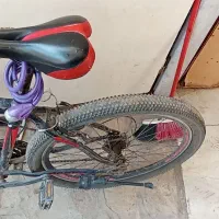 دوچرخه تایگریس|دوچرخه، اسکیت، اسکوتر|نیشابور, شهید بهشتی|دیوار