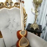 تار دو مهر استاد کاظمی ( آکبند)