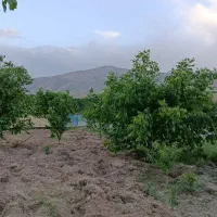 زمین-اسدآباد