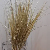 گل طلایی|گل مصنوعی|مشهد, فلسطین|دیوار