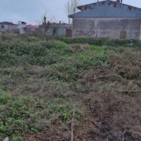 فروش زمین نسقی مسکونی|فروش زمین و ملک کلنگی|رشت, خرسندی|دیوار