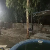 باغچه .کارگاه.چهاردیواری|اجارهٔ خانه و ویلا|خاوران, |دیوار