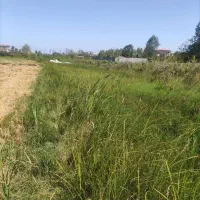 فروش زمین باغی 725 متررشت روستای طرازکوه(نسق)|فروش زمین و ملک کلنگی|رشت, پسیخان|دیوار