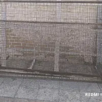 تخت