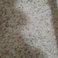 برنج دورود