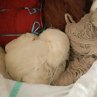 دارفرش،زَرنیم،همراه خامه ی کامل،|ابزارآلات|انگوران, |دیوار