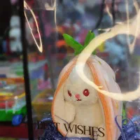 فروشگاه عروسک پولیشی آیهان|اسباببازی بچه|کردکوی, |دیوار