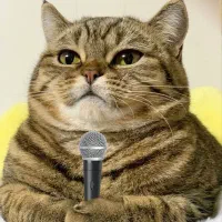 شروع کنیم دادا