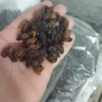 کشمش آفتابی درجه یک|خوردنی و آشامیدنی|مهریز, |دیوار