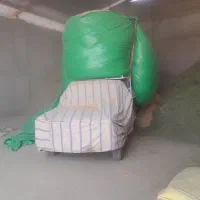 کاه|حیوانات مزرعه|شیراز, داریون|دیوار