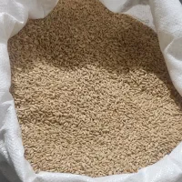 فروش گندم مهرگان تیمی