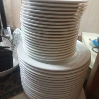 بشقاب چینی رستورانی