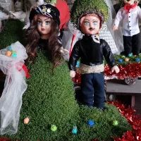 کاشت سبزه عروس