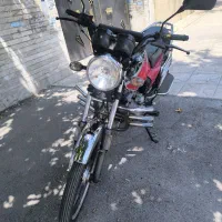 باکسر تریل شکاری