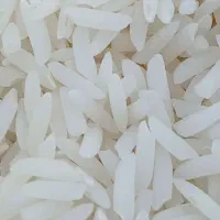 برنج هاشمی سورت شده درجه ممتاز