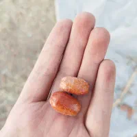 سنجد تازه|خوردنی و آشامیدنی|شاهین دژ, |دیوار