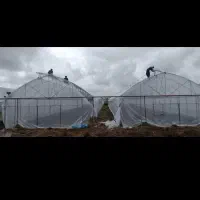 ساخت گلخانه پلاستیک کشی و دو پوش