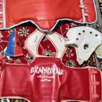 هوگو تکواندو دوعدد