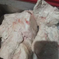 دنبه.گوسفندی