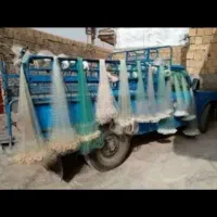 تورماهیگیری