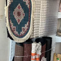 پادری در تنوع بالا