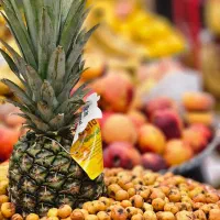 نیروی آقا و خانم میوه فروشی|استخدام خدمات فروشگاه و رستوران|عسلویه, |دیوار