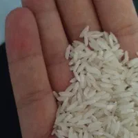 برنج هاشمی اعلا|خوردنی و آشامیدنی|رشت, رشتیان|دیوار