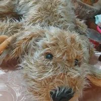 اسباب بازی|اسباببازی بچه|لواسان, |دیوار