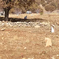 فروش زمین کره‌کان بوان|فروش زمین و ملک کلنگی|نورآباد ممسنی, |دیوار