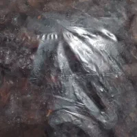 مویز کشمش خوراکی
