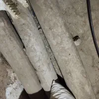 درخت چنار|مصالح و تجهیزات ساختمان|موچش, |دیوار