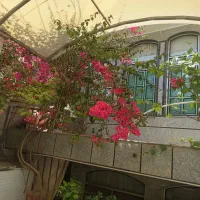 فروش آپارتمان ۴ طبقه ۵ خوابه در نیروگاه