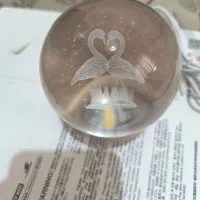 دکور گوی|کلکسیون اشیاء عتیقه|پرند, فاز ۵|دیوار