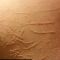 نیاز به راهنمایی