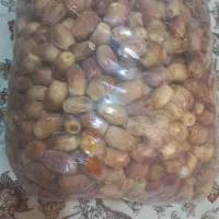 قصب درجه ۱جهرم